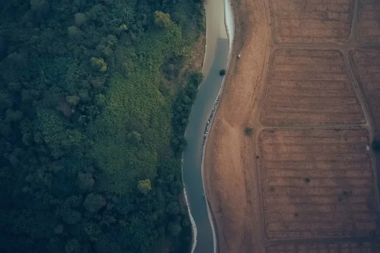 Are the Conditions Right for What You Want to Create? Overhead View of Forest River and Field