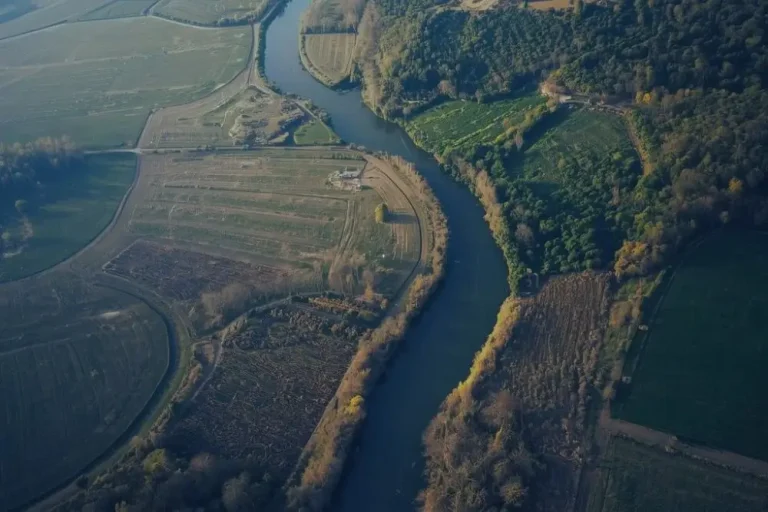 Is Timing More Intelligent Than We Realize? River Running Through Fields