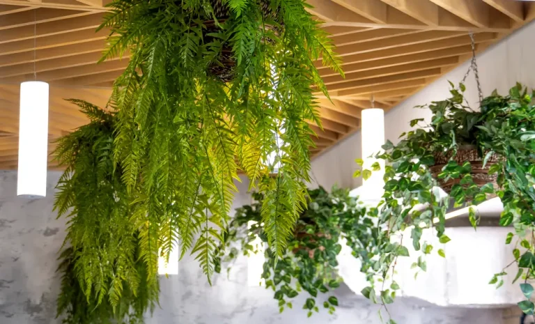 Designing for Success: Integrating Wellness into Modern Architecture Wellness Architectural Interior